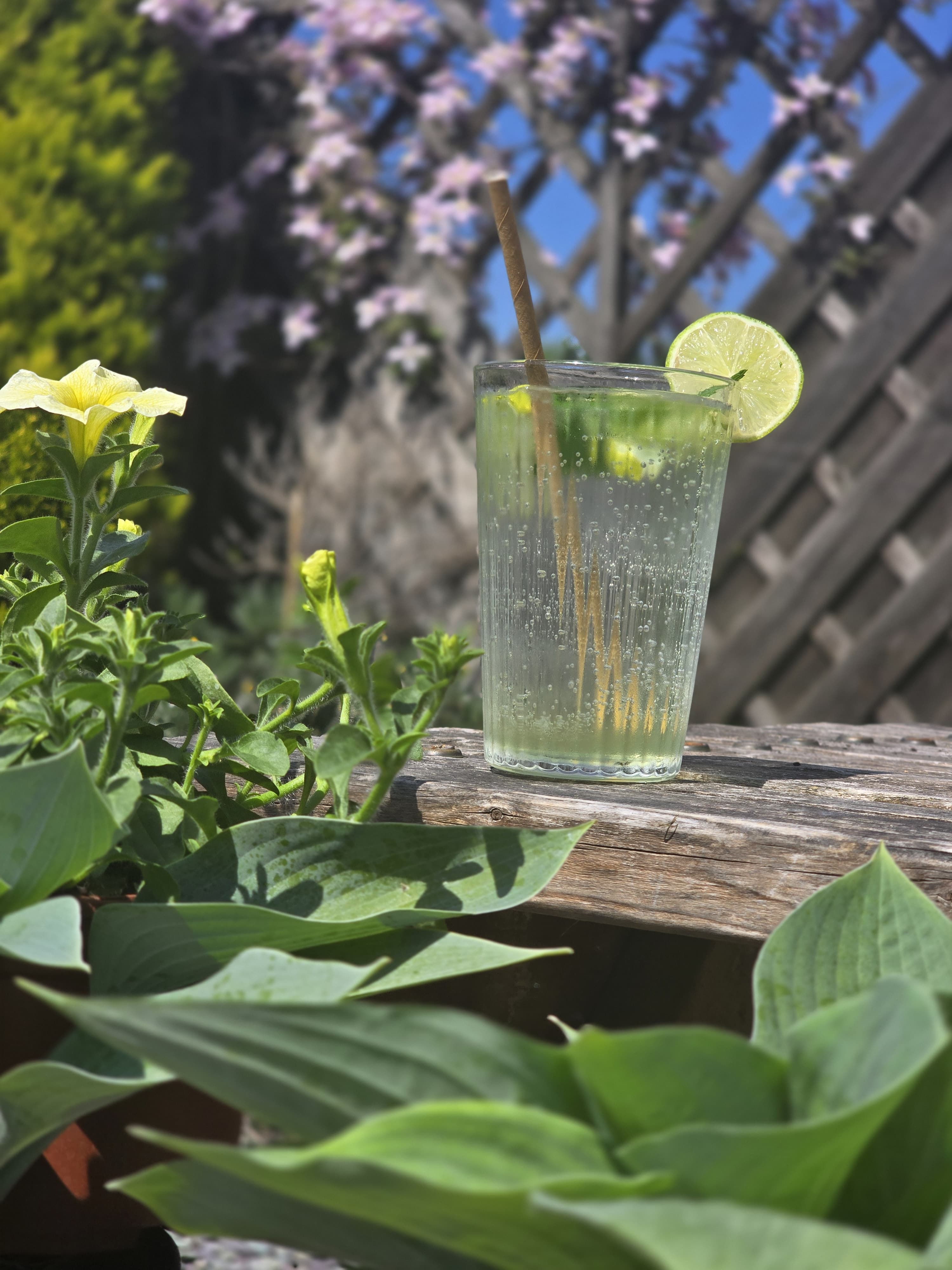 Signature Mint & Lime Botanical Cooler
